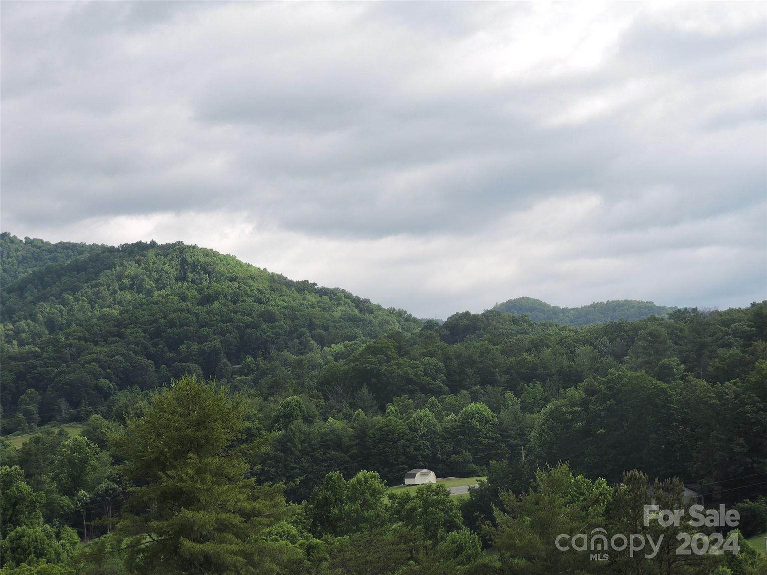 60 Gins Ln LOT 11 Mars Hill, NC 28754 - Thumbnail 3