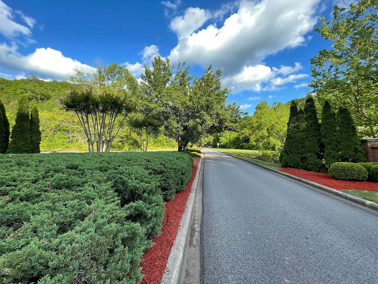 6377 Cambridge Rd Pinson, AL 35126 - Thumbnail 3