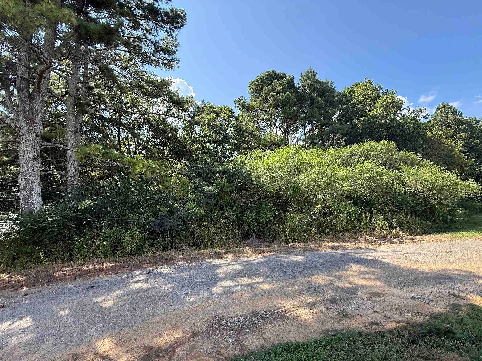 1AC County Road 1038 Vinemont, AL 35179 - Thumbnail 3