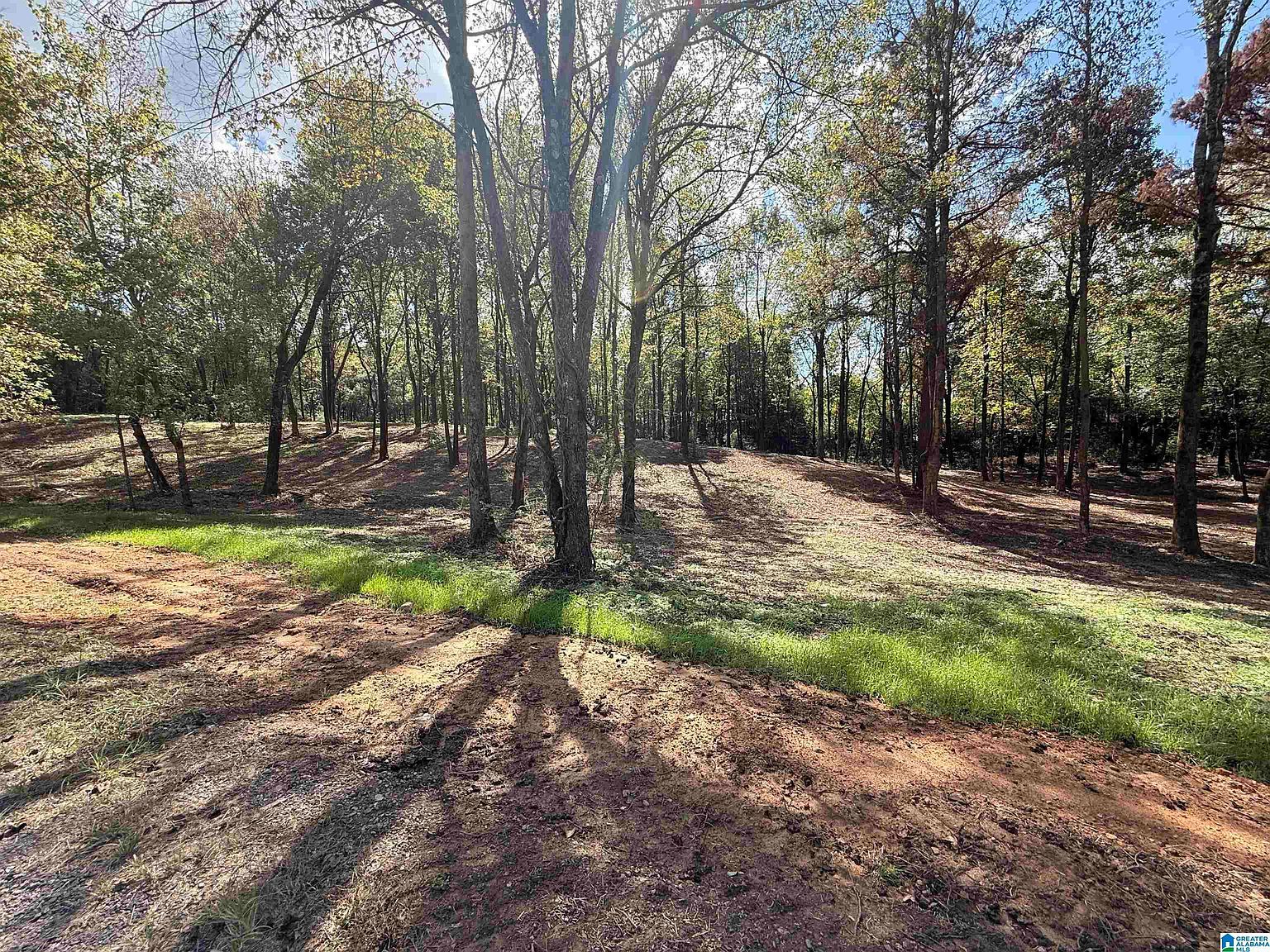 12A County Road 1123 #12A Vinemont, AL 35179 - Thumbnail 3