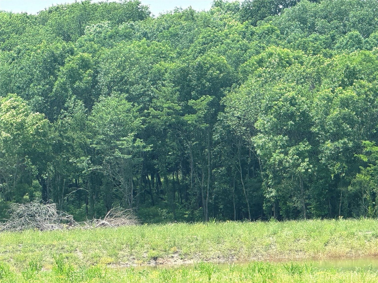 1829 Old Millwood Rd Rockwall, TX 75087 - Thumbnail 3