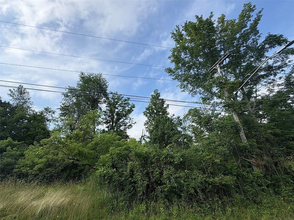287 Lower Stella Ireland Rd Binghamton, NY 13905  | Land/Lot