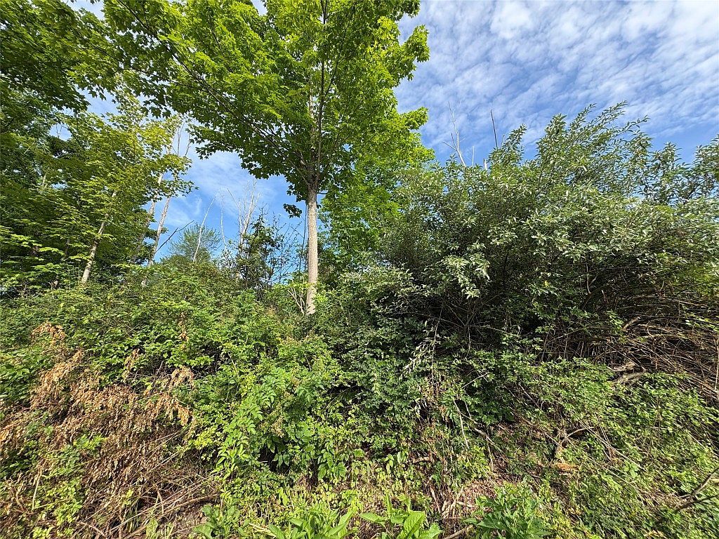 289 Lower Stella Ireland Rd Binghamton, NY 13905  | Land/Lot