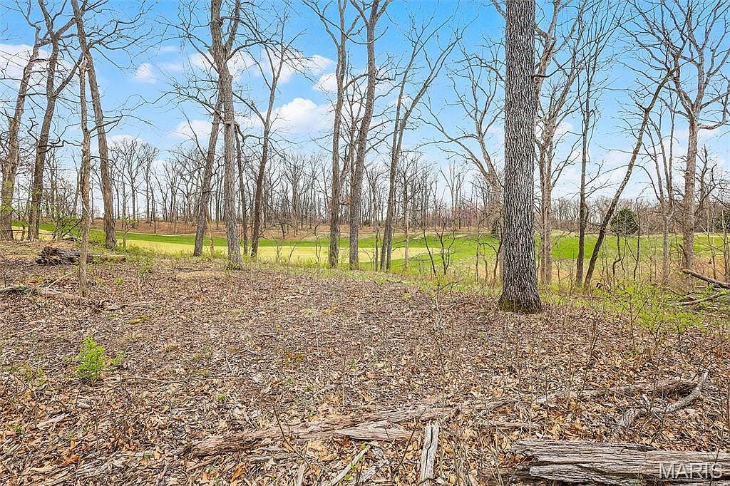 118 Summer Grace Ln Saint Charles, MO 63304 - Thumbnail 3