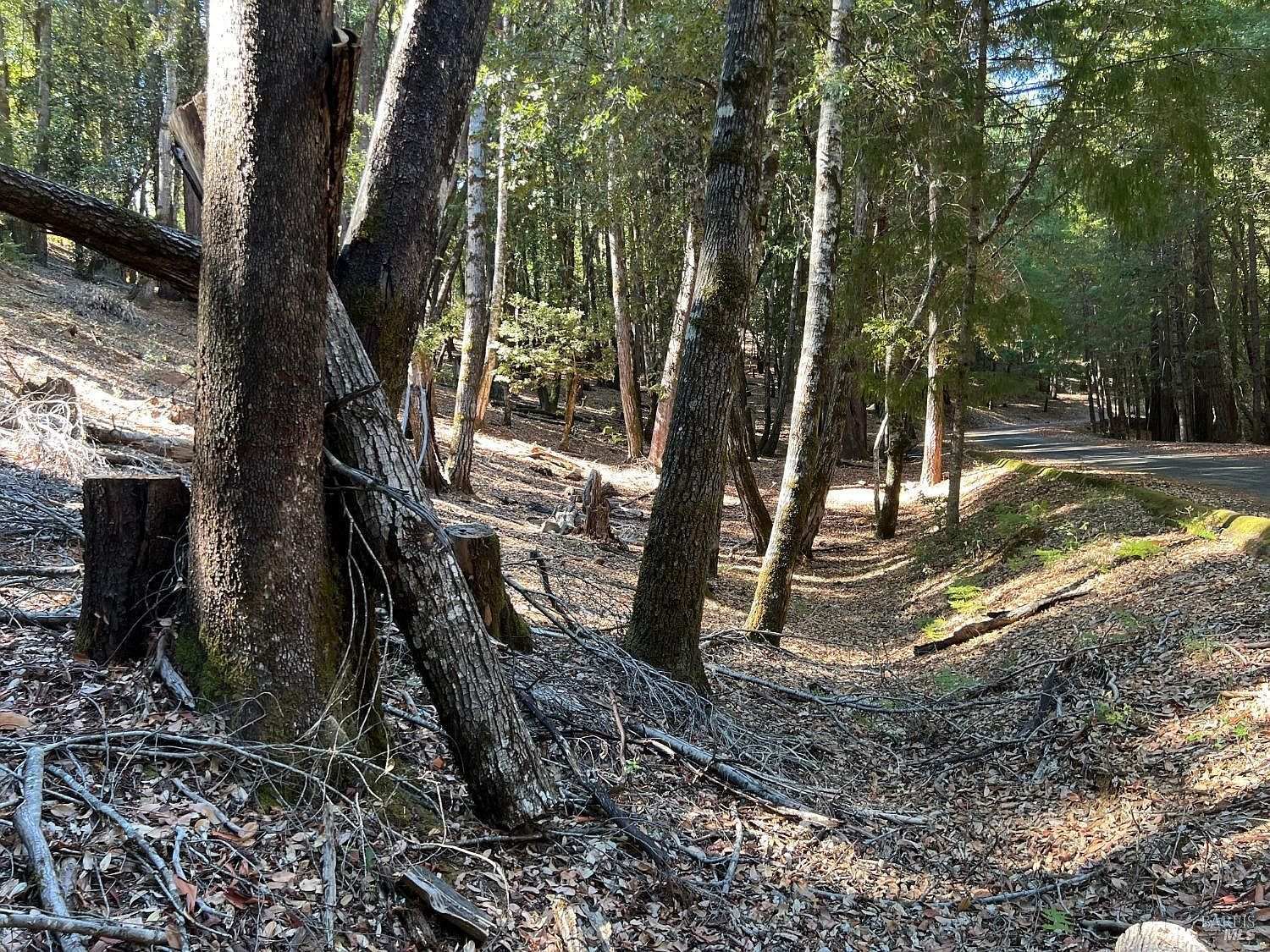 27208 Bear Dr Willits, CA 95490 - Thumbnail 3