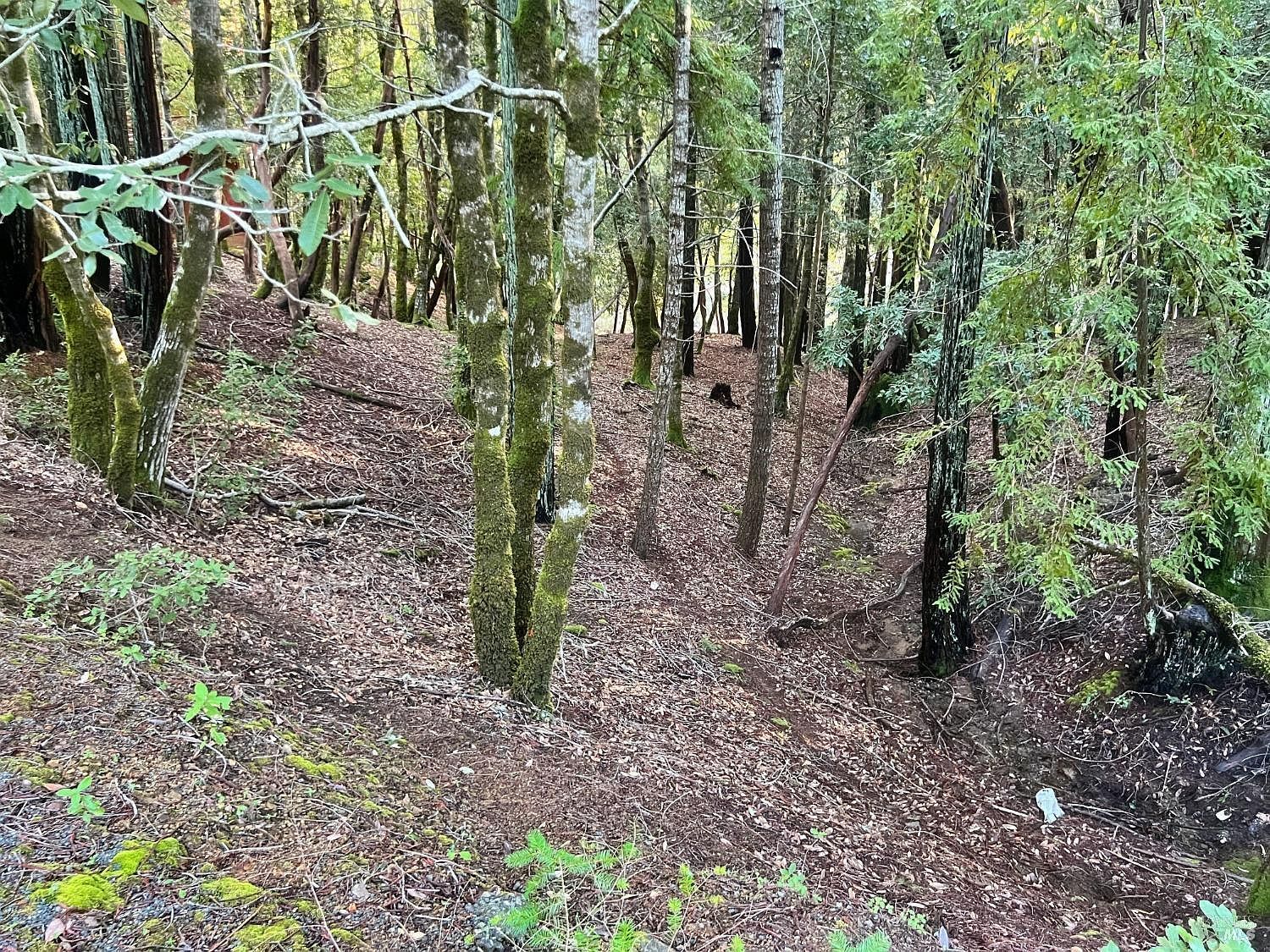 26075 Poppy Dr Willits, CA 95490 - Thumbnail 3