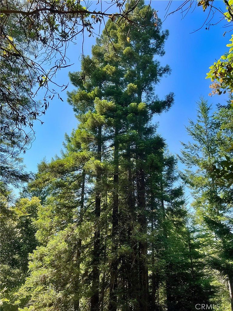 5801 Flynn Creek Rd Comptche, CA 95427 - Thumbnail 3