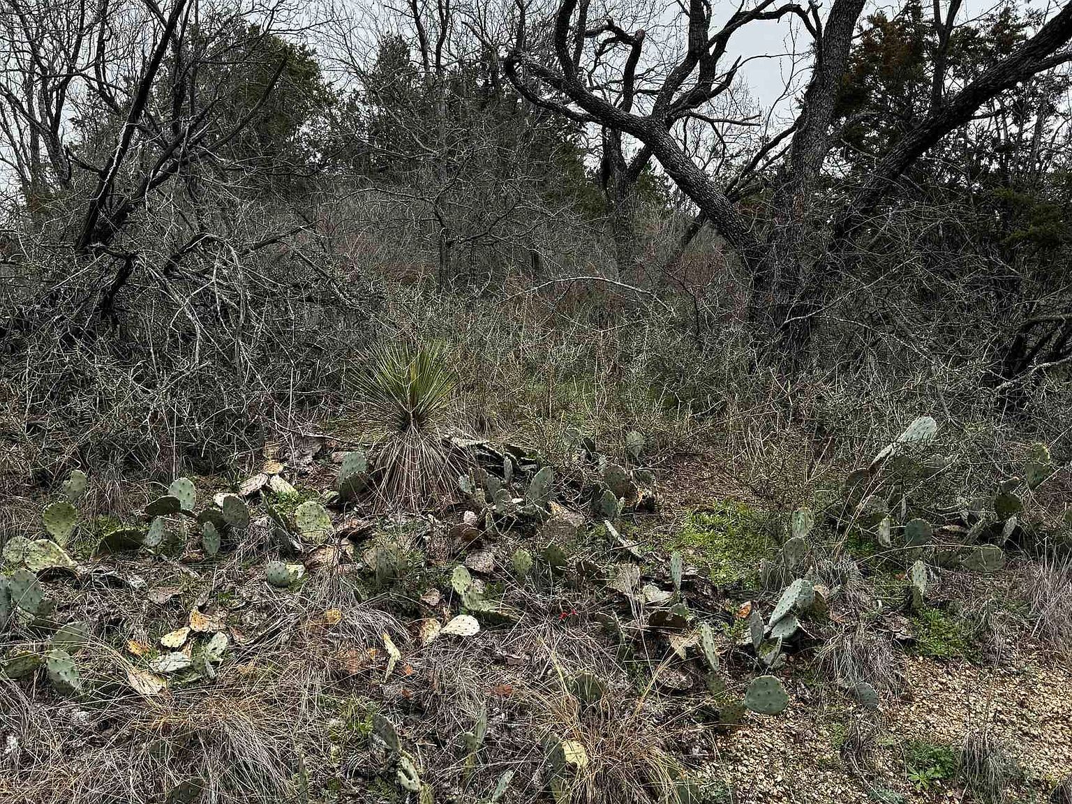 424 E Castlewood Dr Marble Falls, TX 78654 - Thumbnail 3