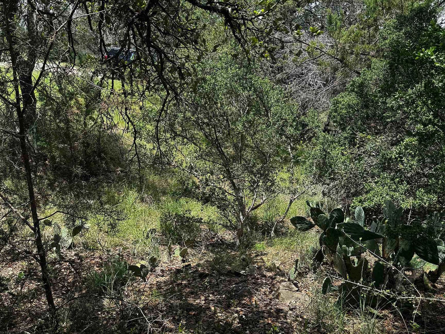 109 Iron Horse Horseshoe Bay, TX 78657 - Thumbnail 3