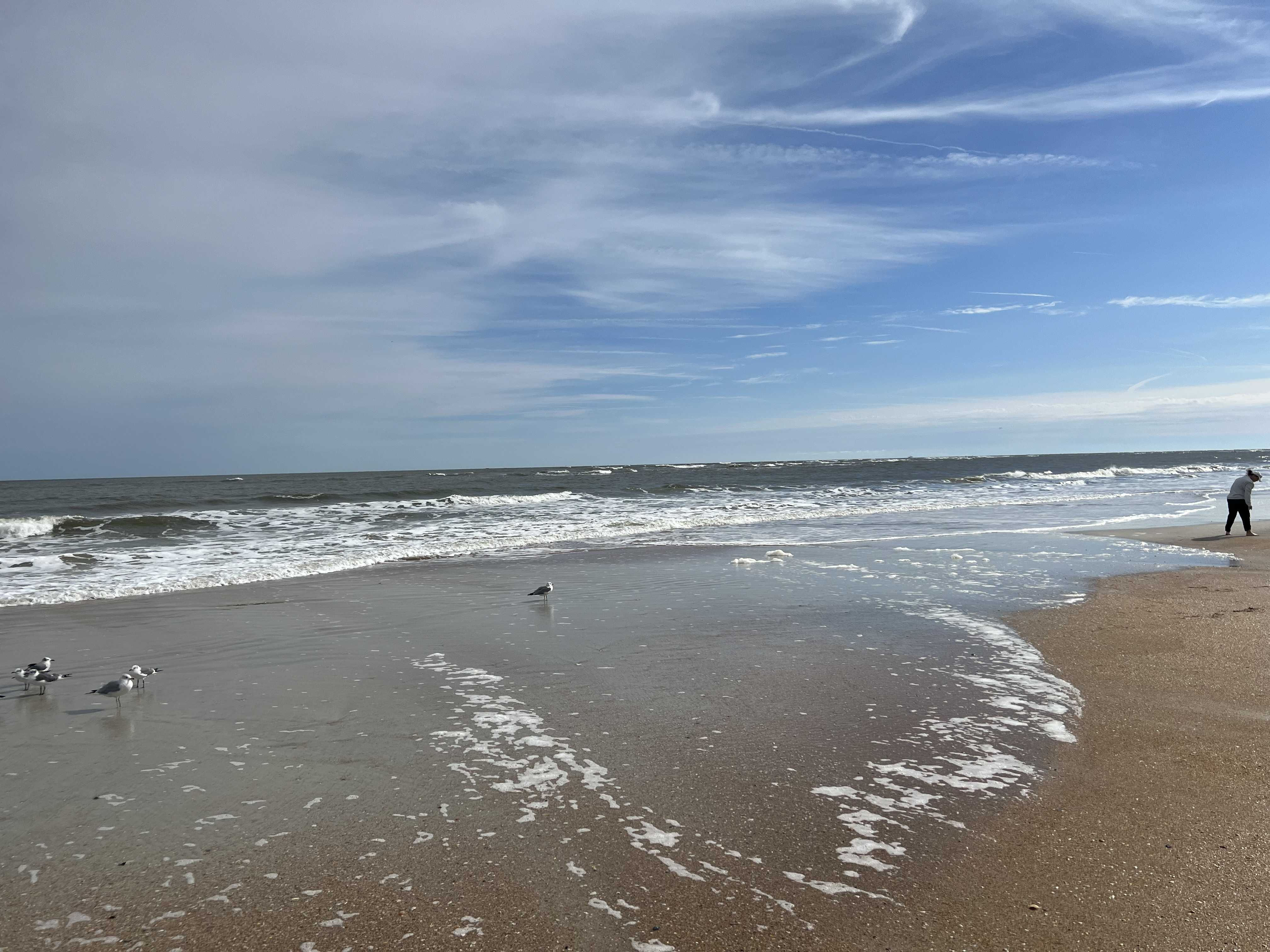 2836 Coastal HWY APT 5,, St Augustine, FL, 32084 | Town Home