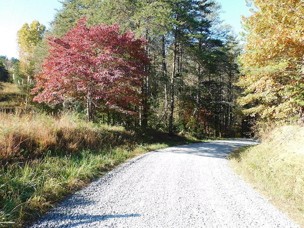 5.88 Grassland Dr, Sandy Level, VA, 24161 - Thumbnail 3