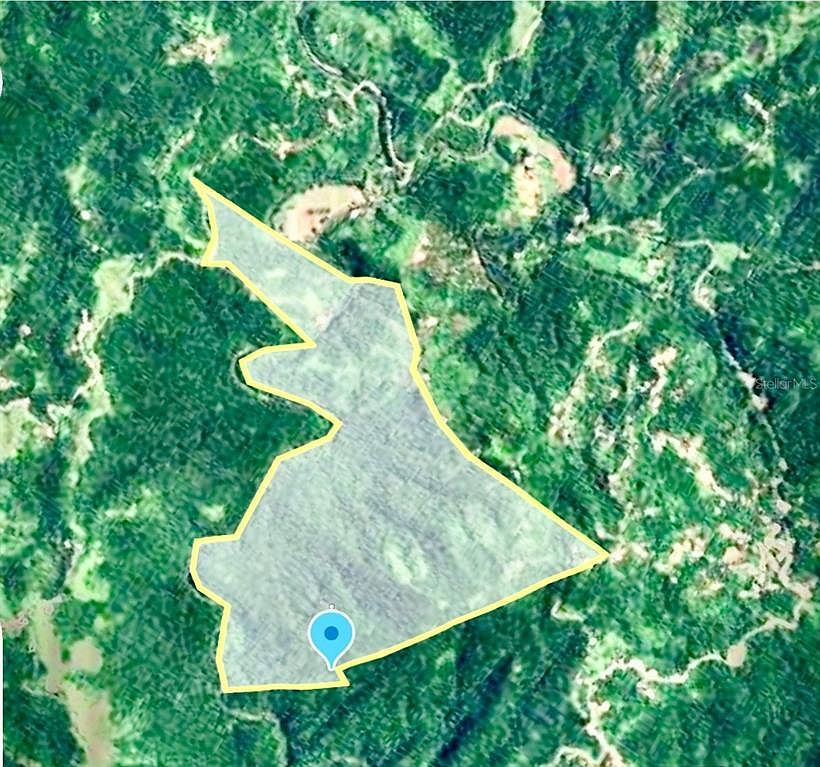 Km 8.7 Int Pr #124 Las Marias, PR 00670 - Thumbnail 3