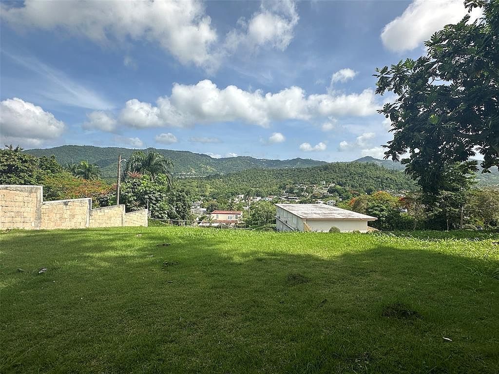 1 Lomas Pilfo Sector C St Cayey, PR 00736 - Thumbnail 3