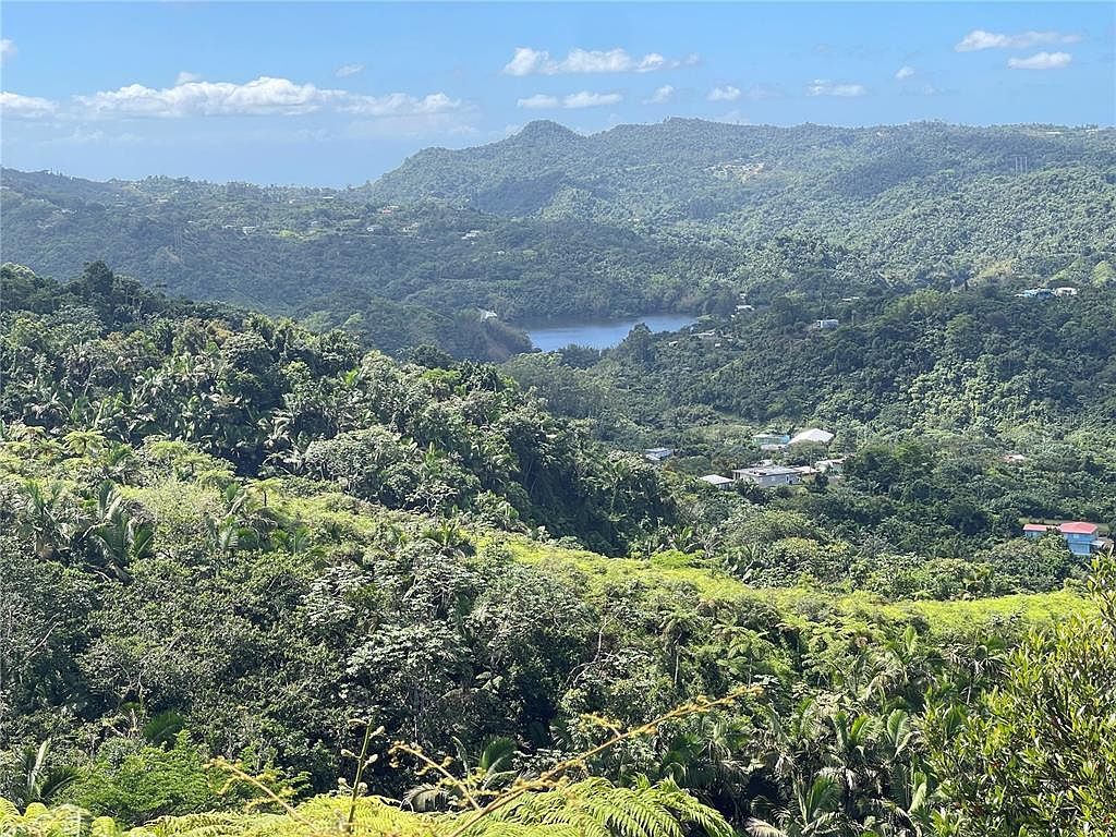 State Highway 518 #KM100 Adjuntas, PR 00601 - Thumbnail 3