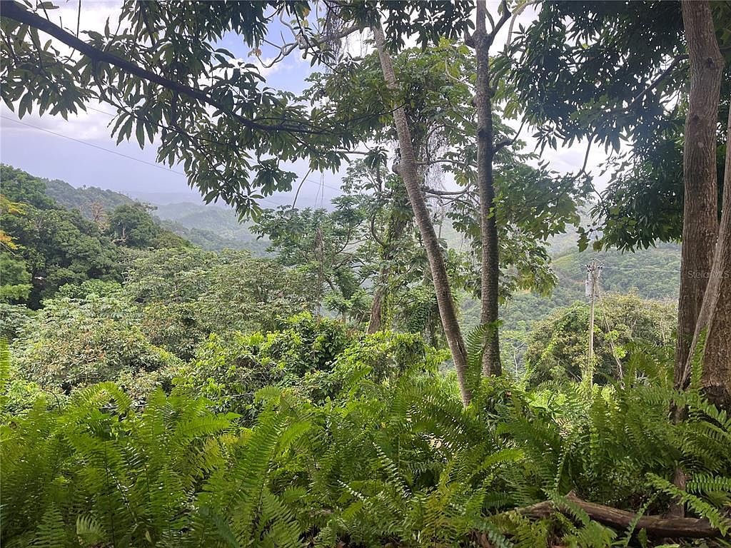 Km 19.9 Carr #128 Yauco, PR 00698 - Thumbnail 3