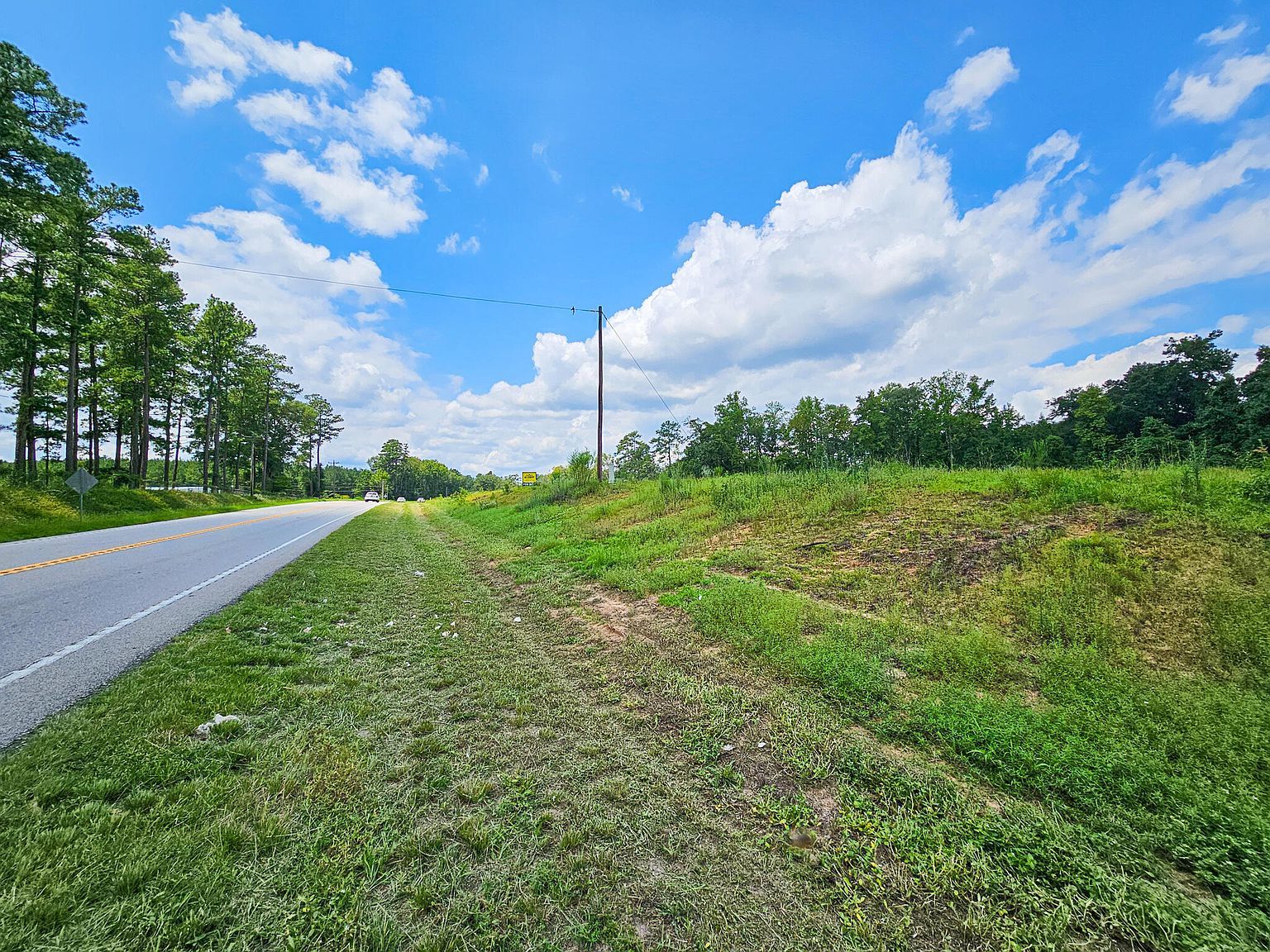 0 Bells Highway & Jones Cp Walterboro, SC 29488 - Thumbnail 3