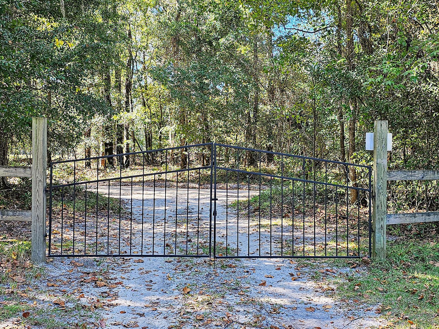 2869 Turkey Cut Rd Ehrhardt, SC 29481 - Thumbnail 3