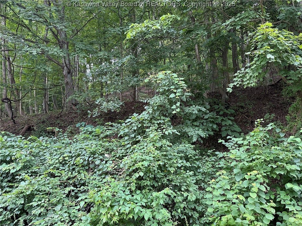 1037 Maccorkle Ave SW Saint Albans, WV 25177 - Thumbnail 3