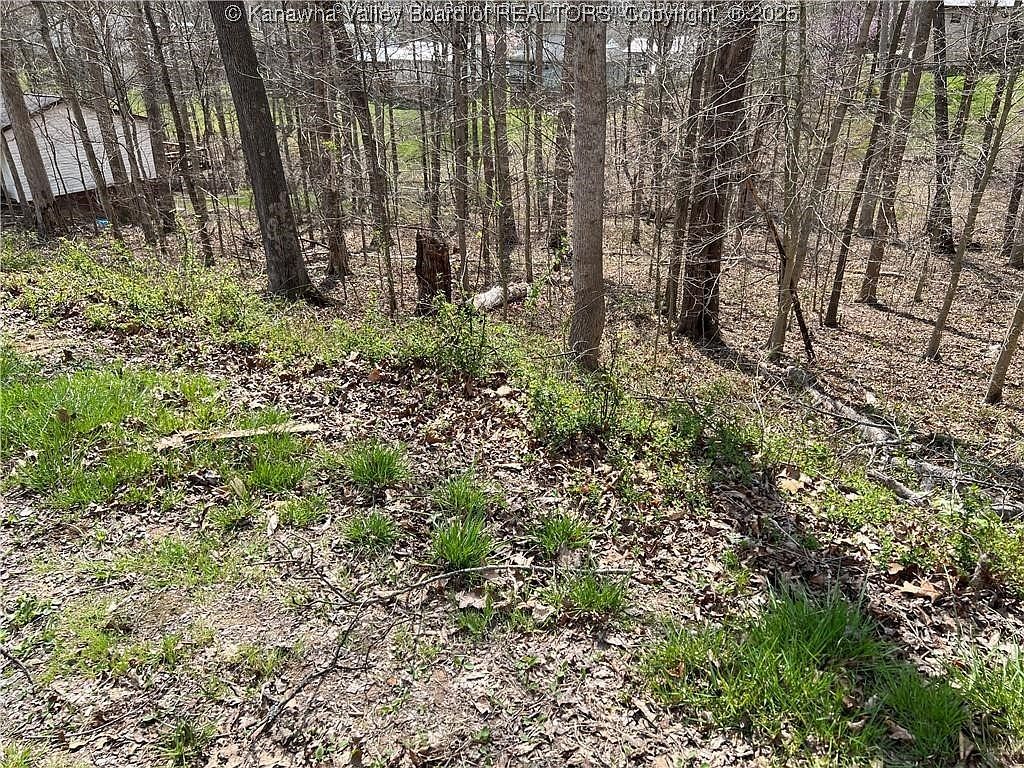 1189 Hillcrest Dr Saint Albans, WV 25177 - Thumbnail 3