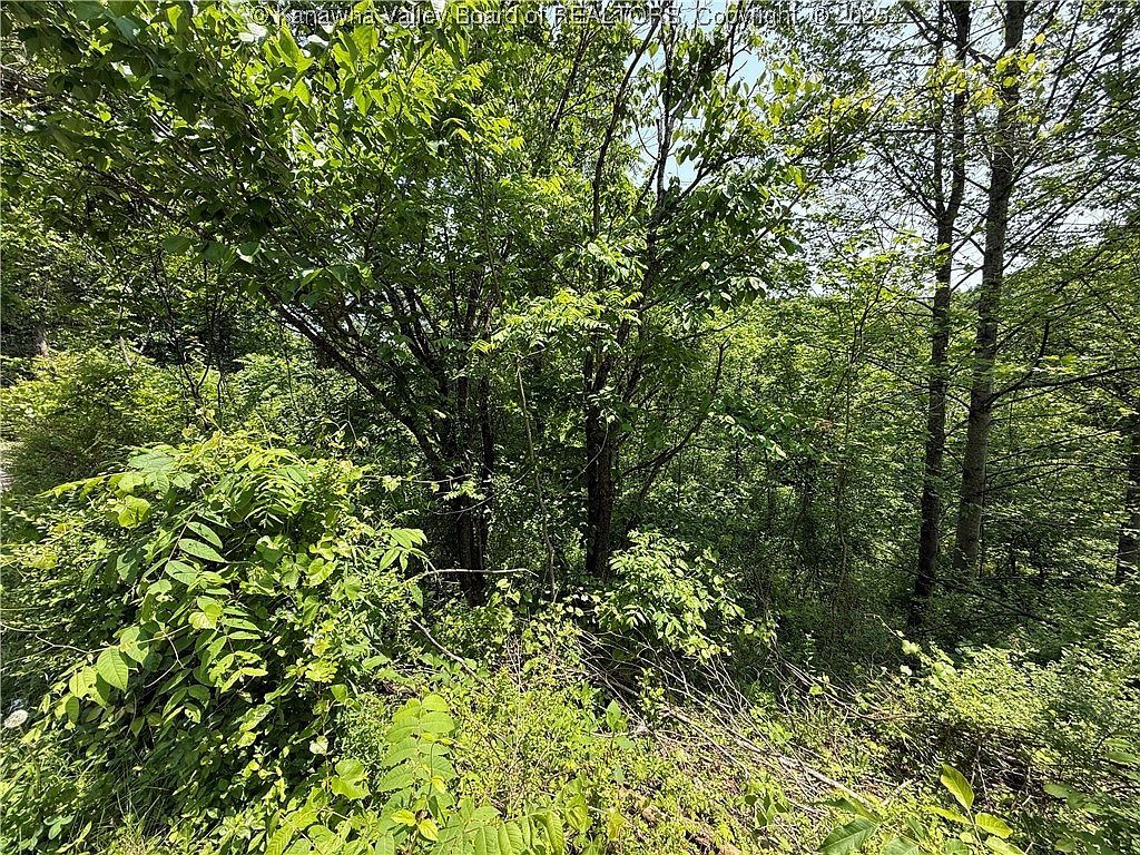 225 Pine St Charleston, WV 25311 - Thumbnail 3