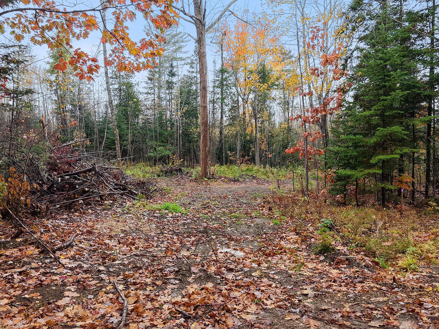 177 Shaw Hill Rd Hampden, ME 04444 - Thumbnail 3