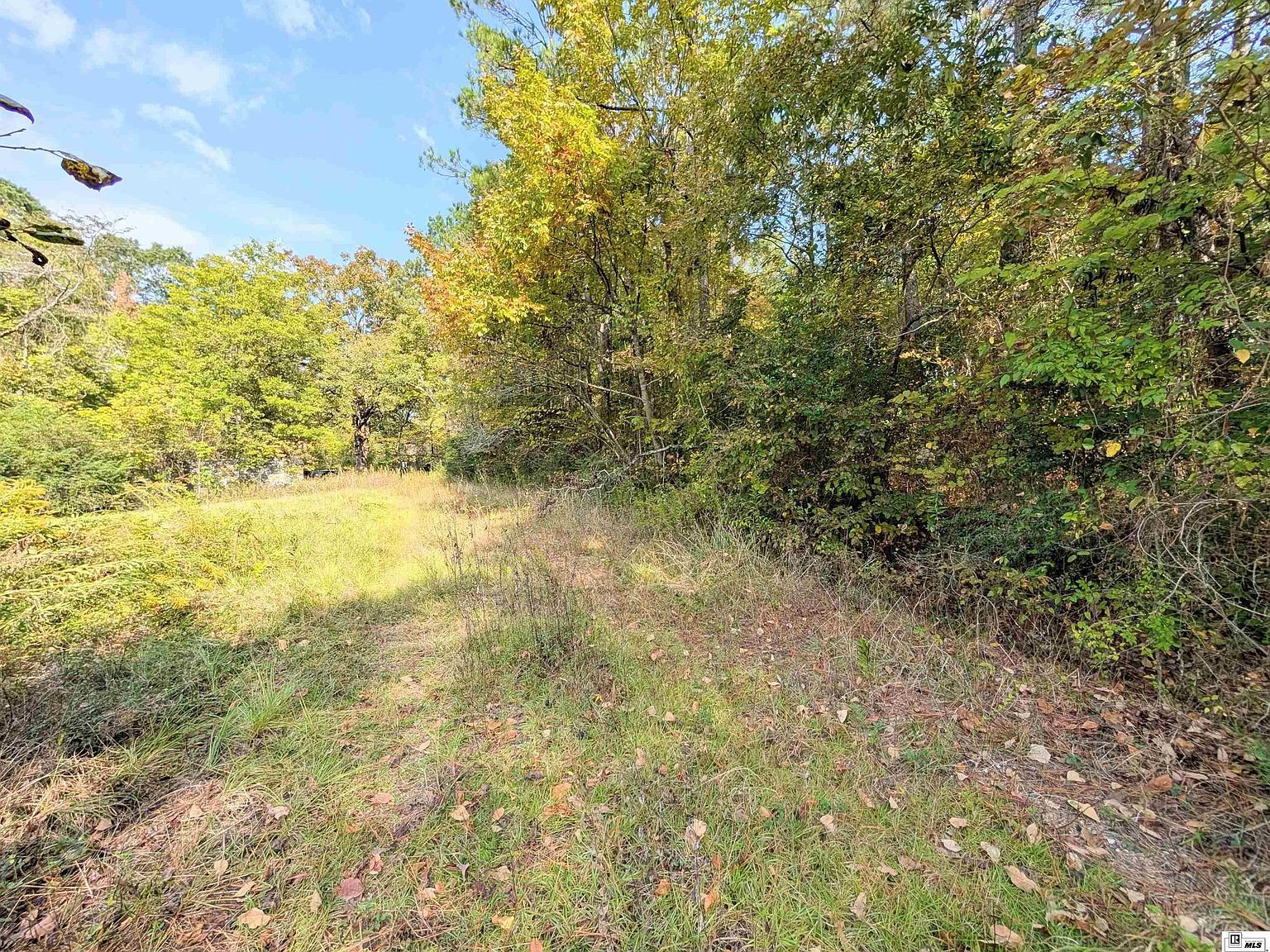 0 Rodeo St Jonesboro, LA 71251 - Thumbnail 3