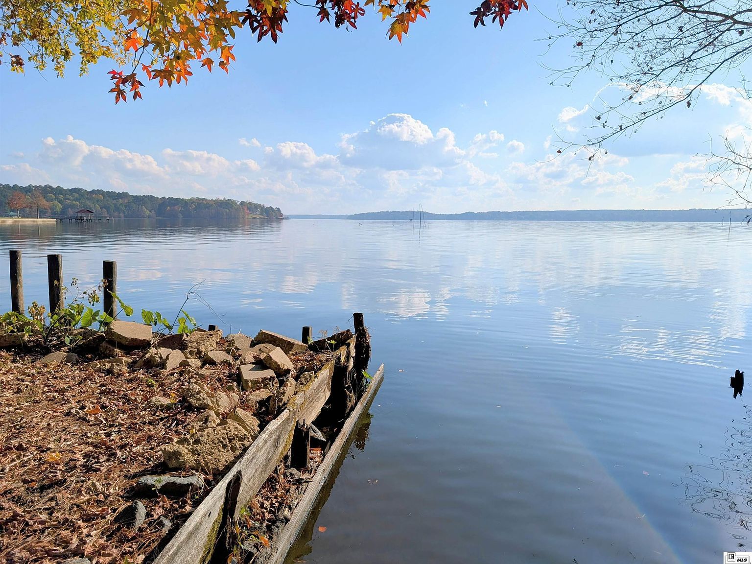 116 Bear Dr Farmerville, LA 71241 - Thumbnail 3