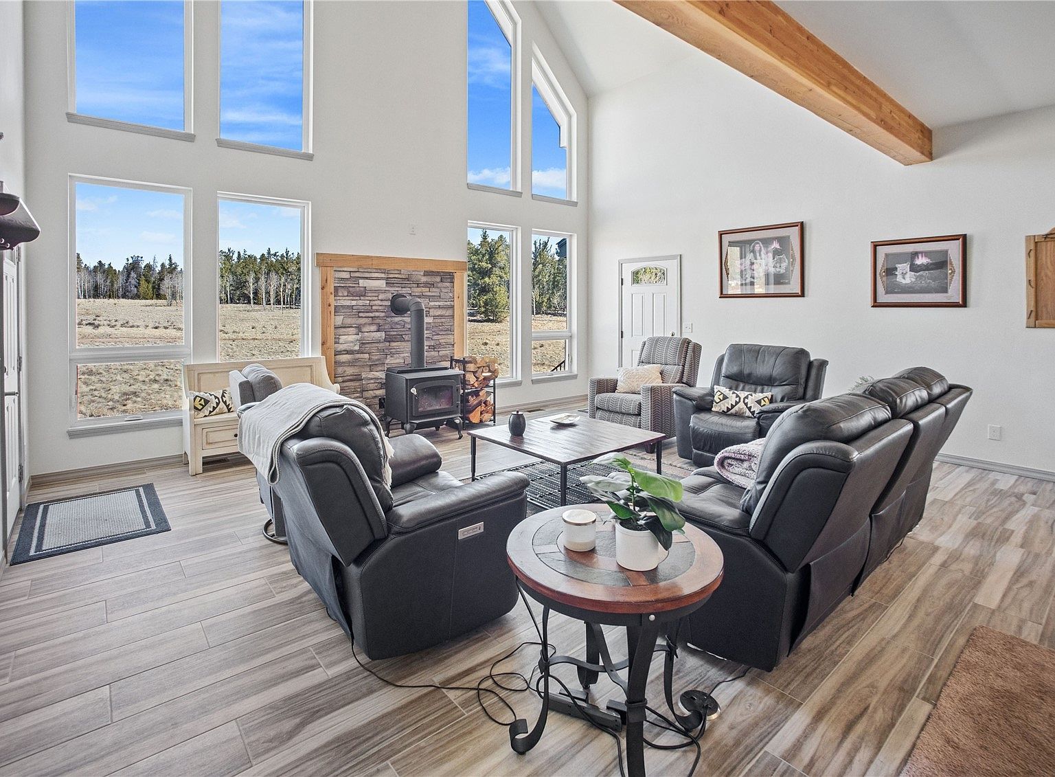 247 Foxtail Ct Fairplay, CO 80440 - Thumbnail 3