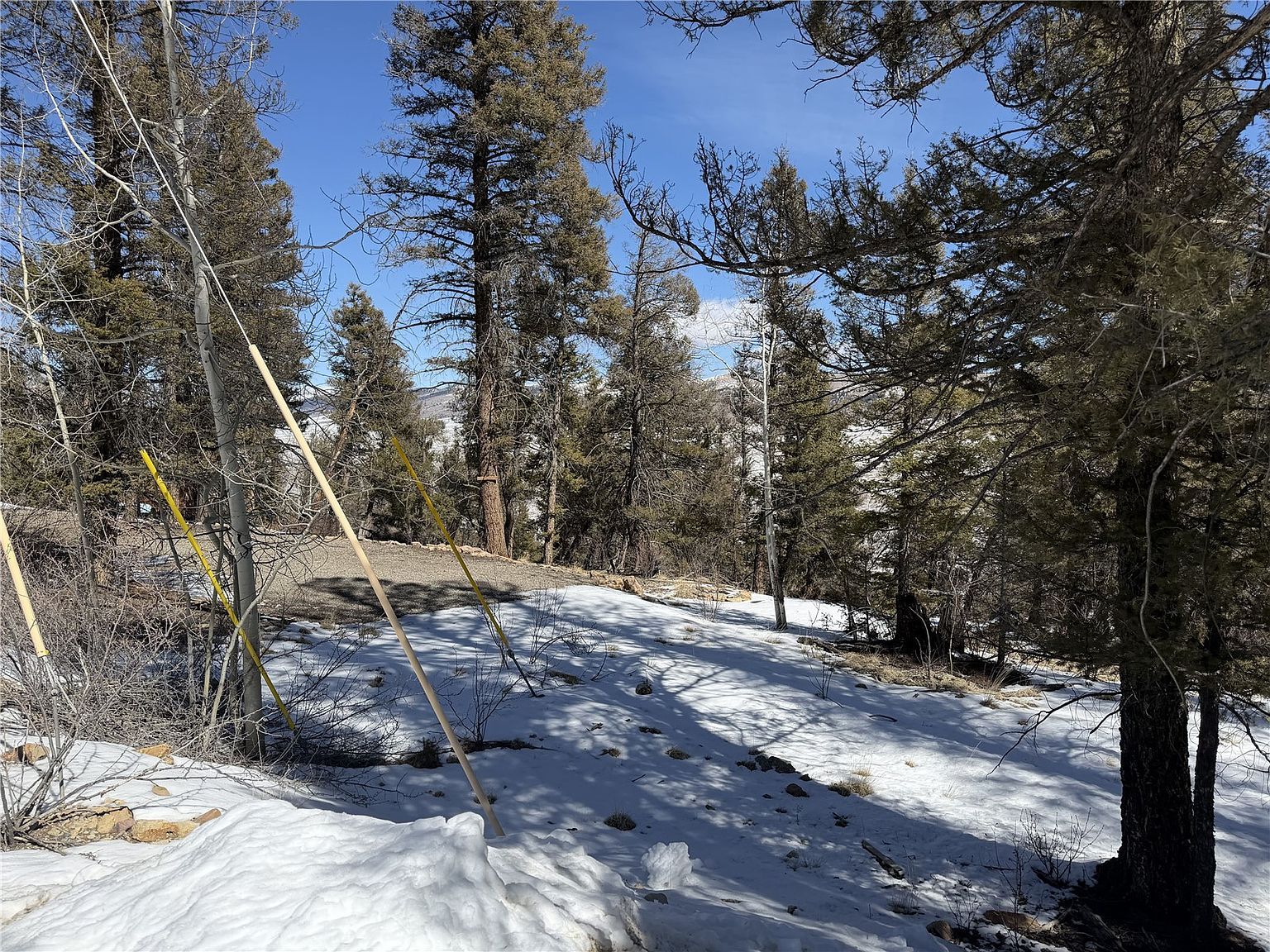 806 Middle Fork Vis Fairplay, CO 80440 - Thumbnail 3