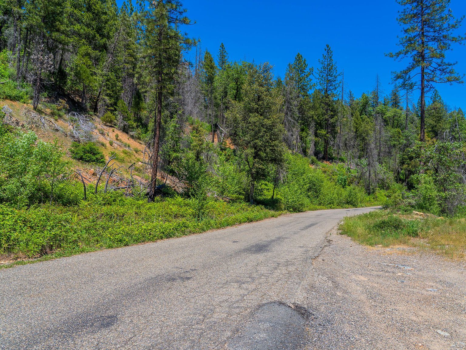 Dog Creek Rd Lakehead, CA 96051 - Thumbnail 3