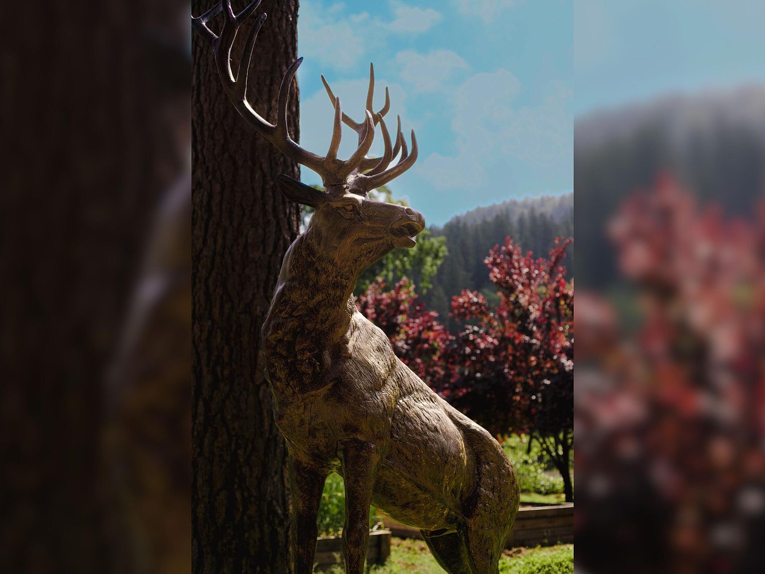 29276 Bullskin Ridge Rd Oak Run, CA 96069 - Thumbnail 3