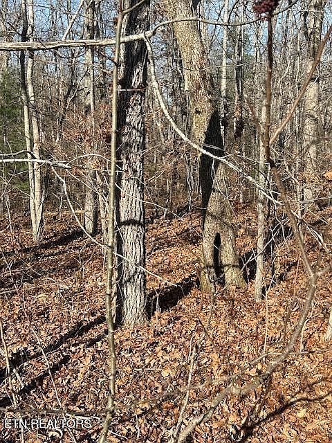 9142 Weketa Cir Crossville, TN 38572 - Thumbnail 3