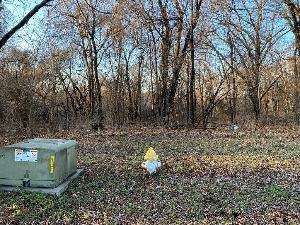 Xx 23 Ac N Ozark Ave #15/16 Joplin, MO 64801 - Thumbnail 3