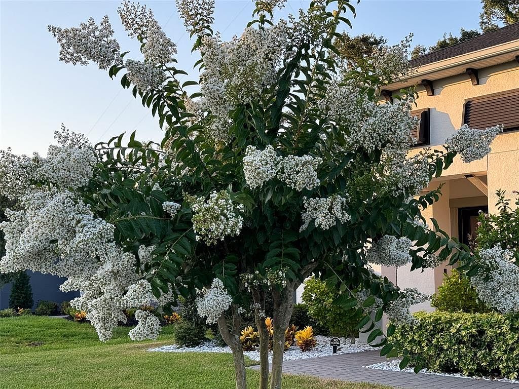 14110 Tomentosa Ave Riverview, FL 33569 - Thumbnail 3