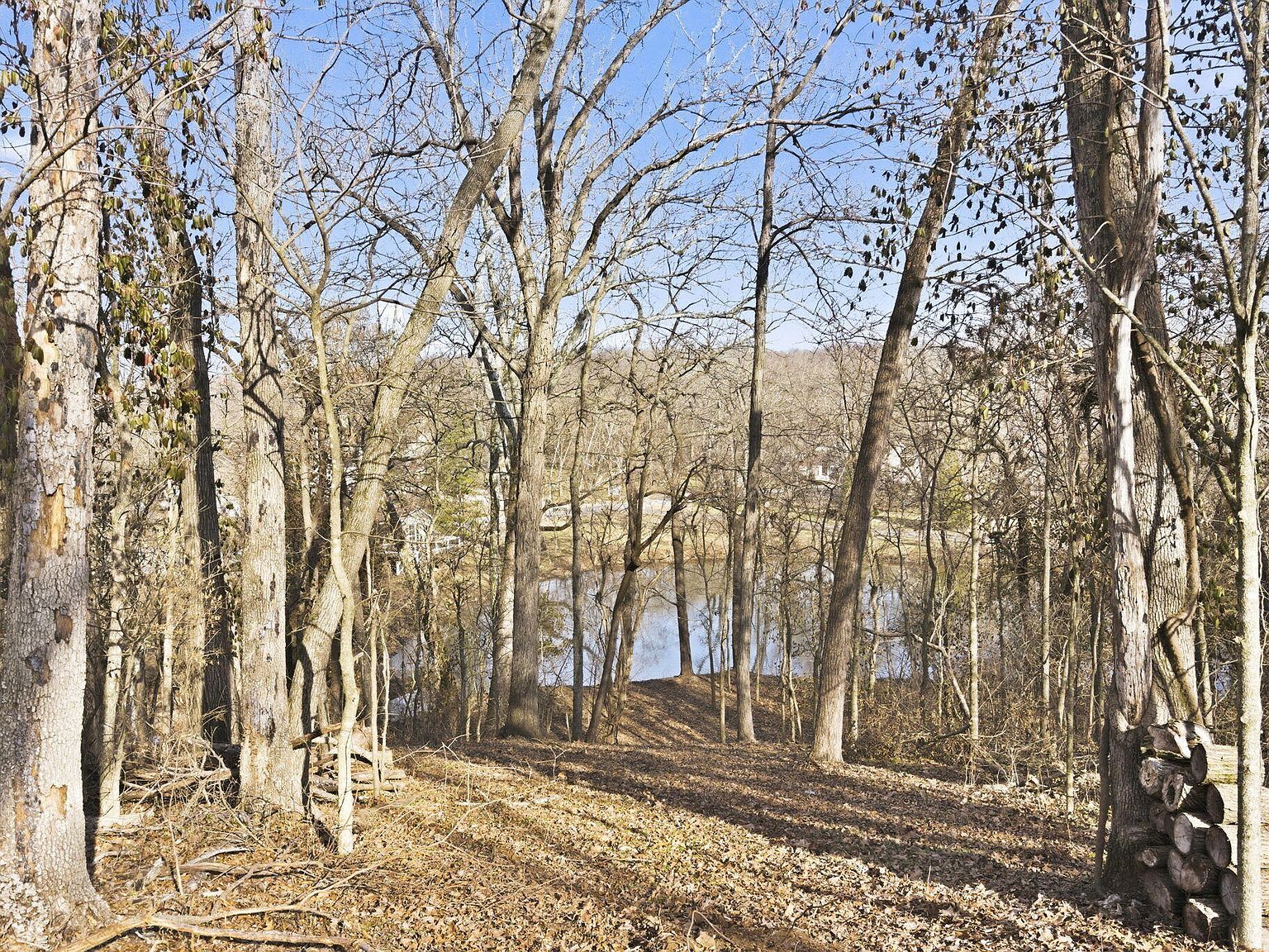 4308 E Catalpa St Springfield, MO 65809 - Thumbnail 3