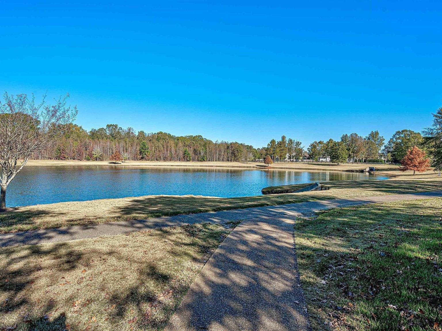 12668 Bravo Rd Collierville, TN 38017 - Thumbnail 3