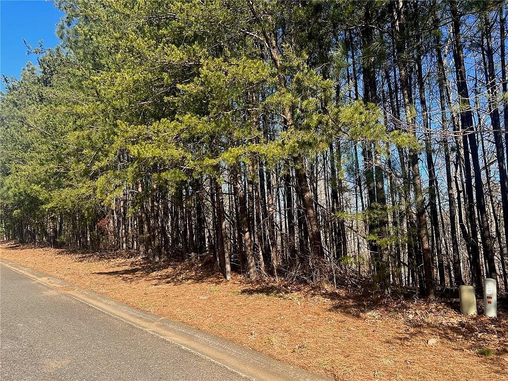 922 Whistler Ln LOT 67 Canton, GA 30114 - Thumbnail 3