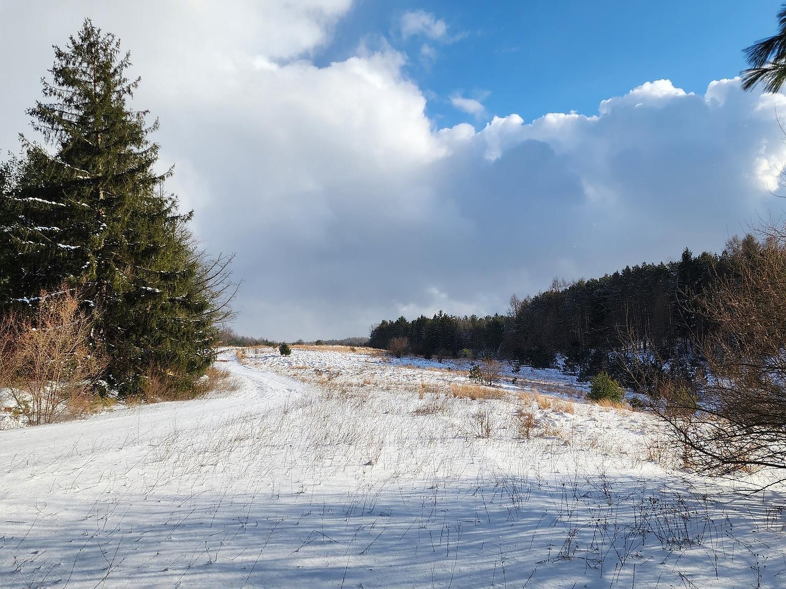 Berma Rd Drifting, PA 16834 - Thumbnail 3