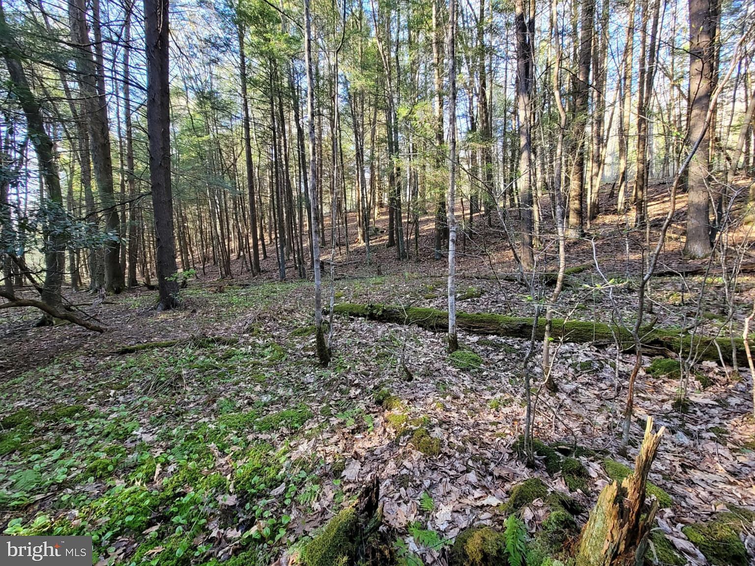 0 Back Hill Rd Pottersdale, PA 16871 - Thumbnail 3