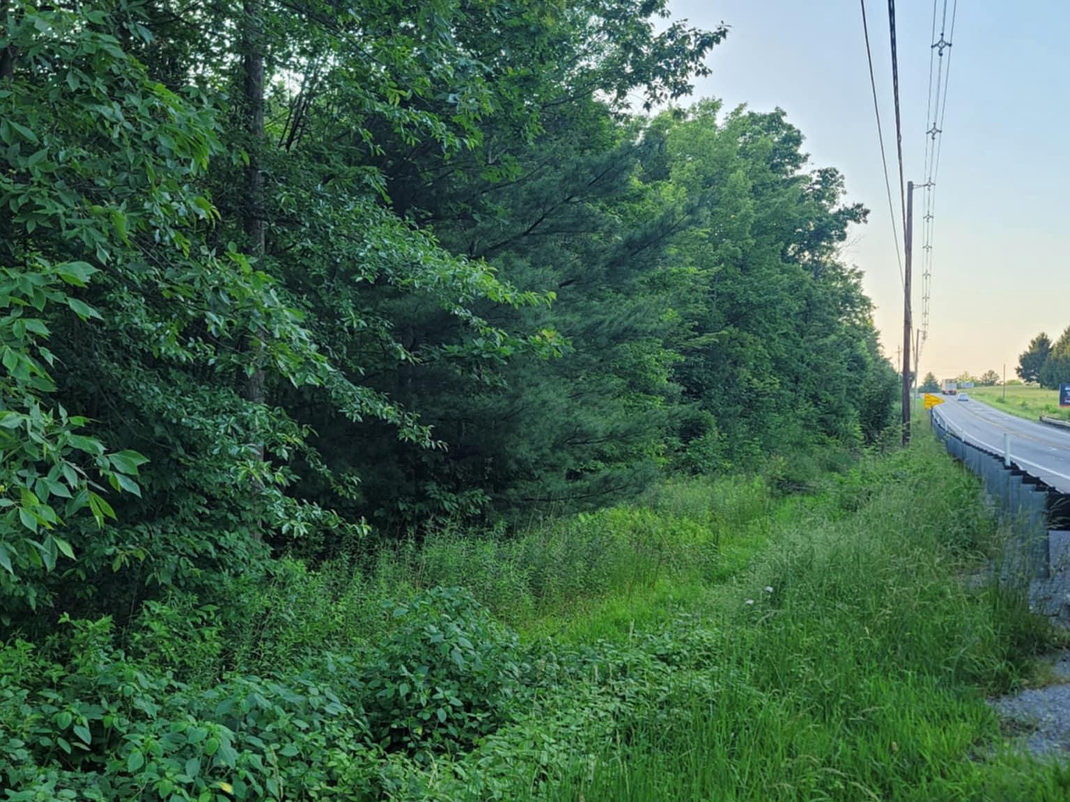 Philipsburg Bigler Hwy Woodland, PA 16881 - Thumbnail 3