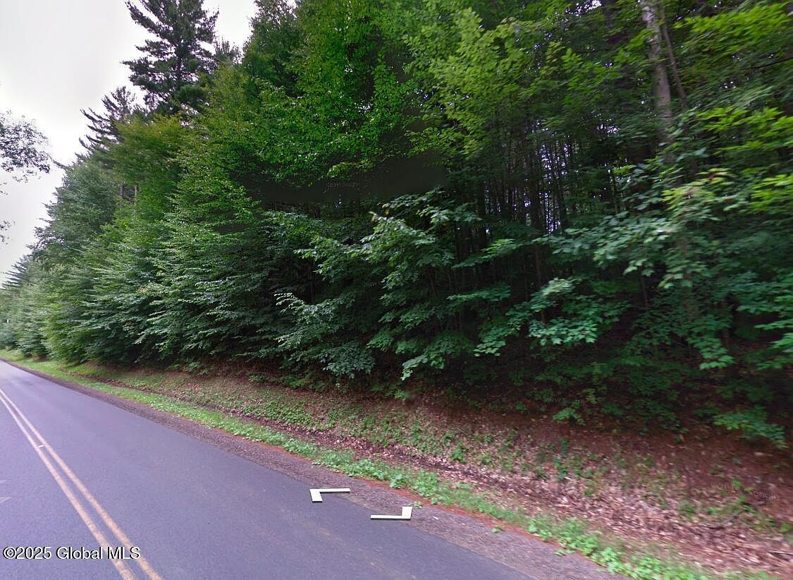 24 Bumphill Rd Greenfield Center, NY 12833 - Thumbnail 3