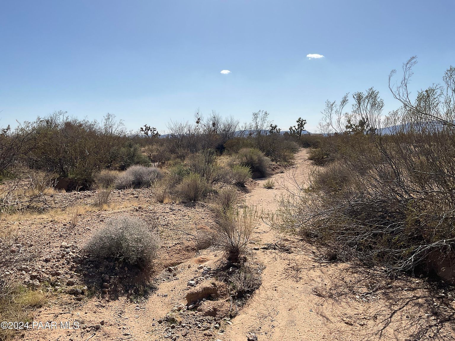 Tbe E Red Barrel Dr Yucca, AZ 86438 - Thumbnail 3