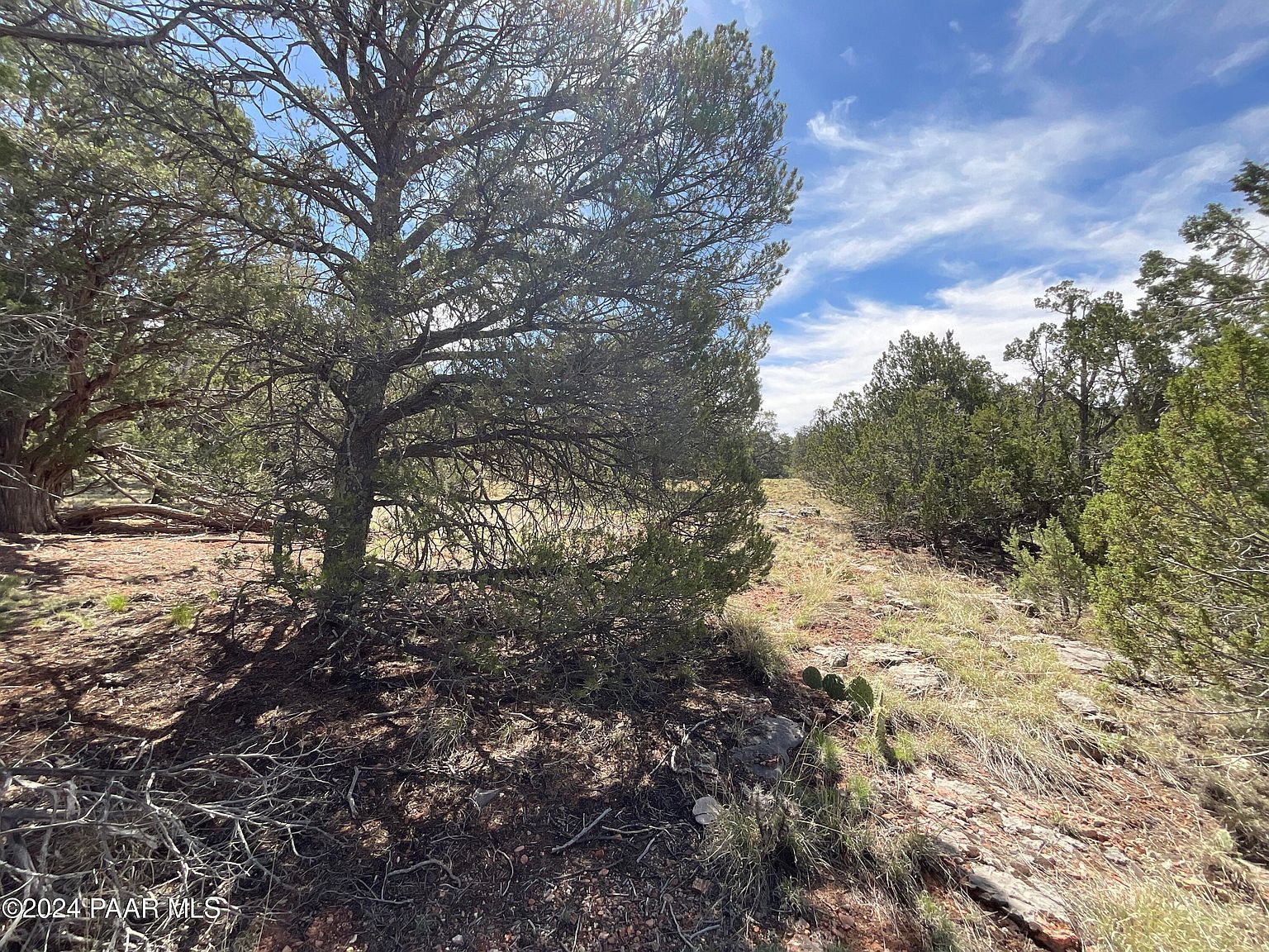 LOT 162 Forest Ln Seligman, AZ 86337 - Thumbnail 3