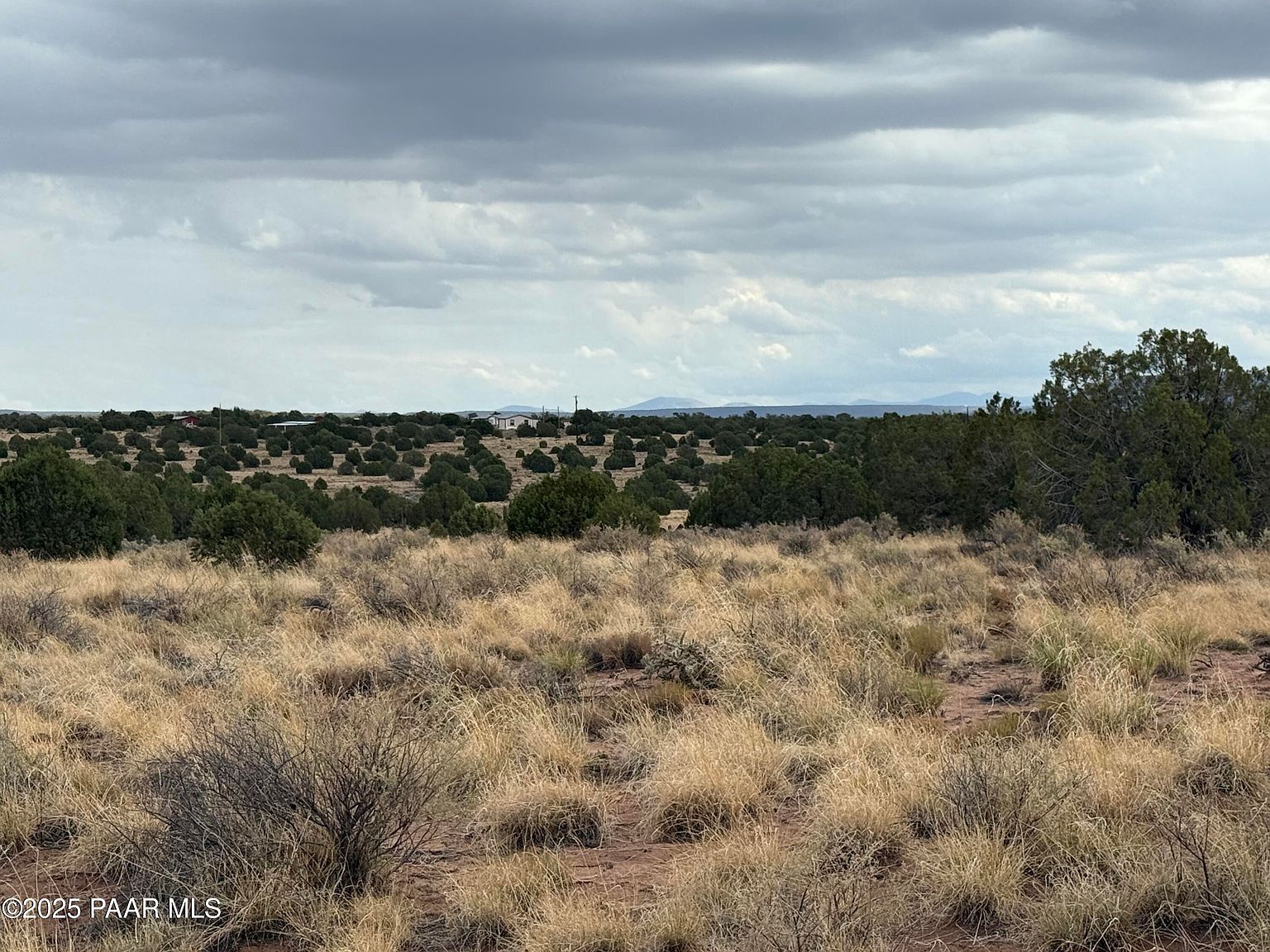 4 Ranch Of The White Mountains Concho, AZ 85924 - Thumbnail 3