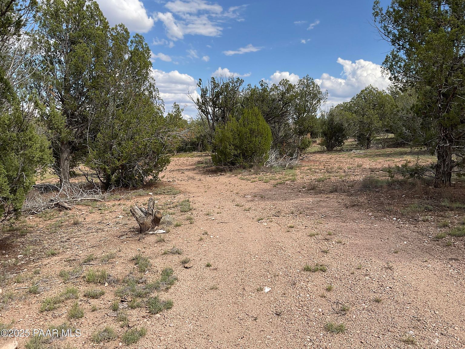 40670 W Scout Trl Seligman, AZ 86337 - Thumbnail 3