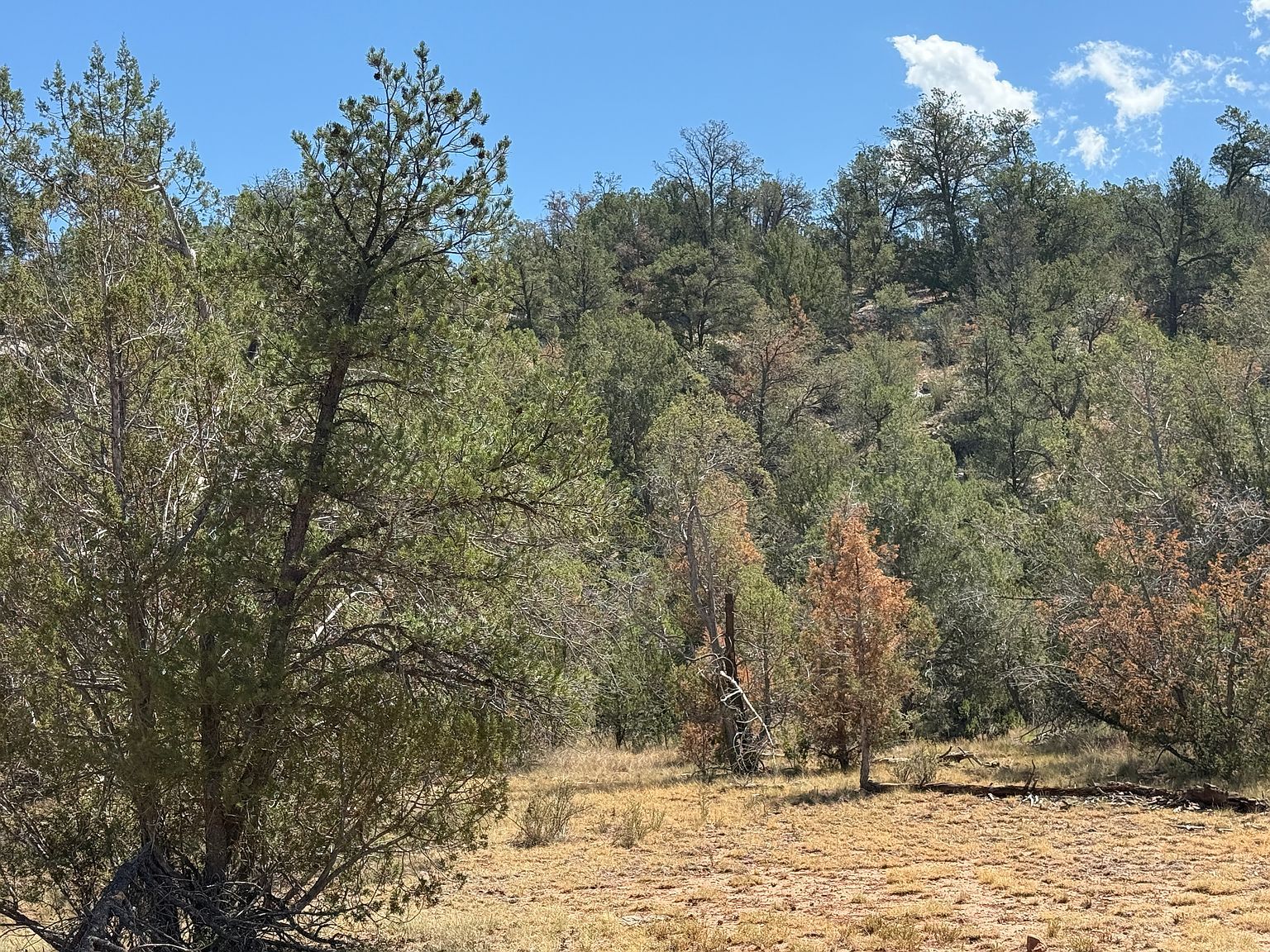 99 Shadow Rock Rnch Seligman, AZ 86337 - Thumbnail 3