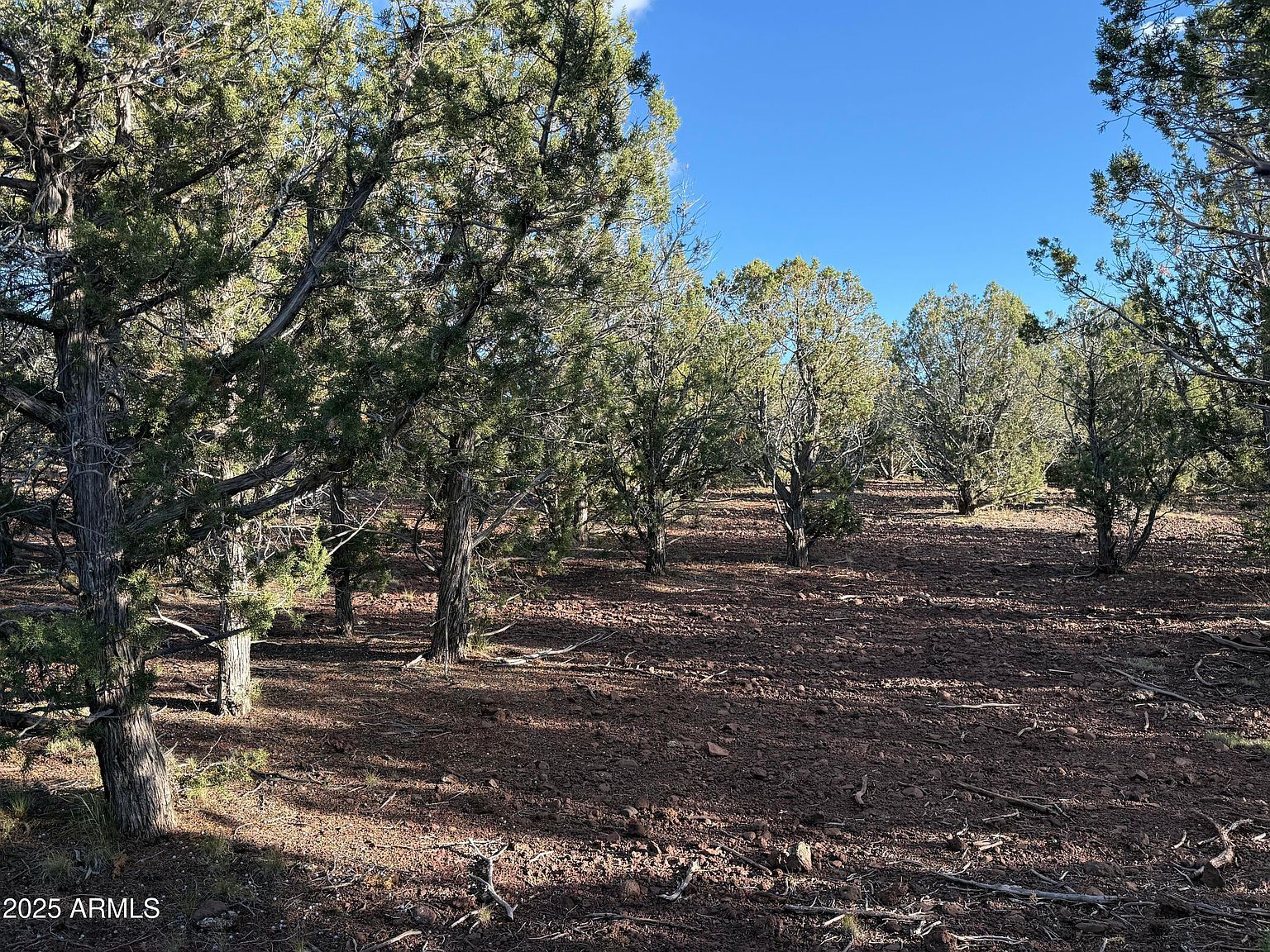 17375 Beale Wagon Rd #458 Williams, AZ 86046 - Thumbnail 3