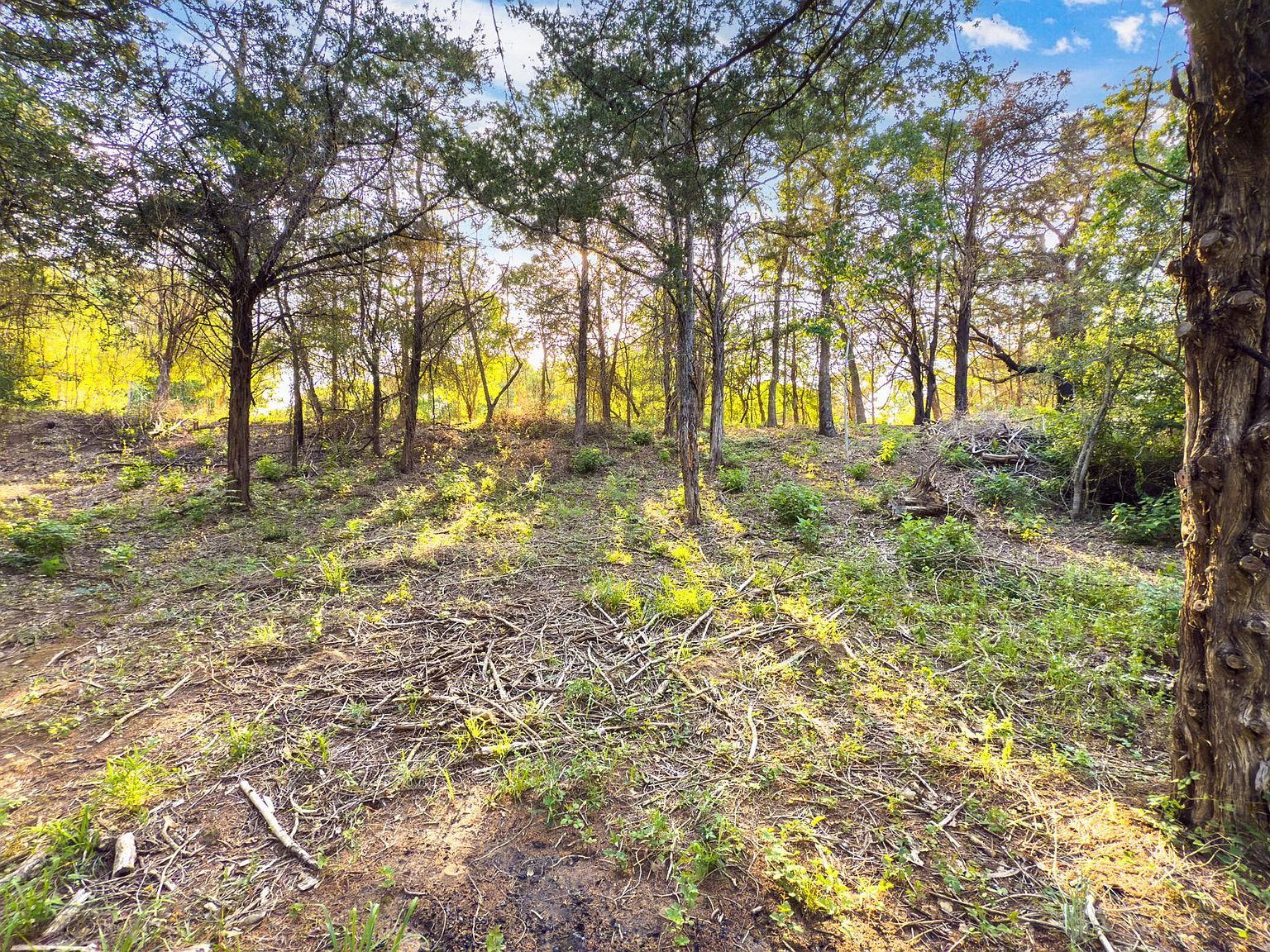 0 Green Valley Dr Bastrop, TX 78602 - Thumbnail 3