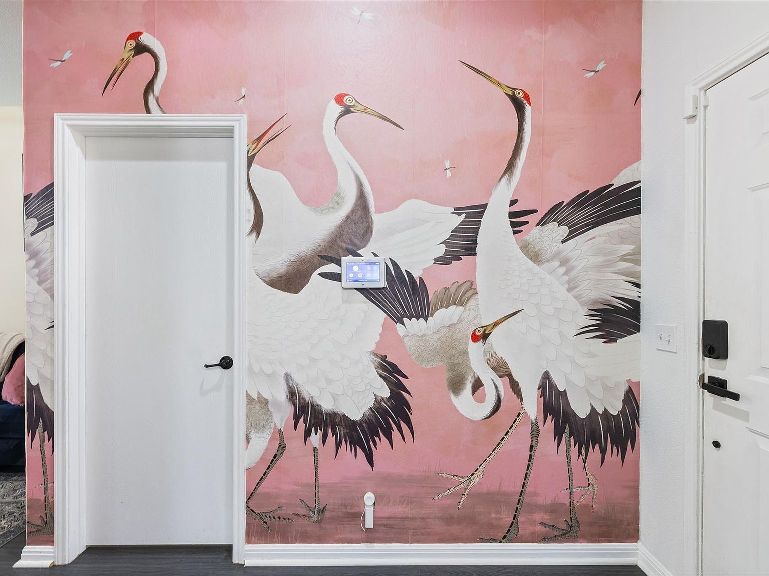 6001 Andross Ct Hutto, TX 78634 - Thumbnail 3