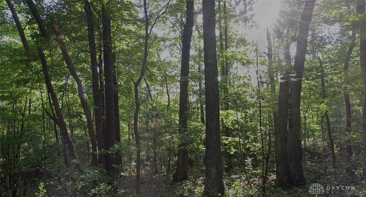 1148 Robinette Rd West Union, OH 45693 - Thumbnail 3